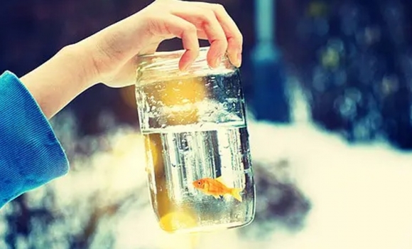 什么是水的渾濁度？